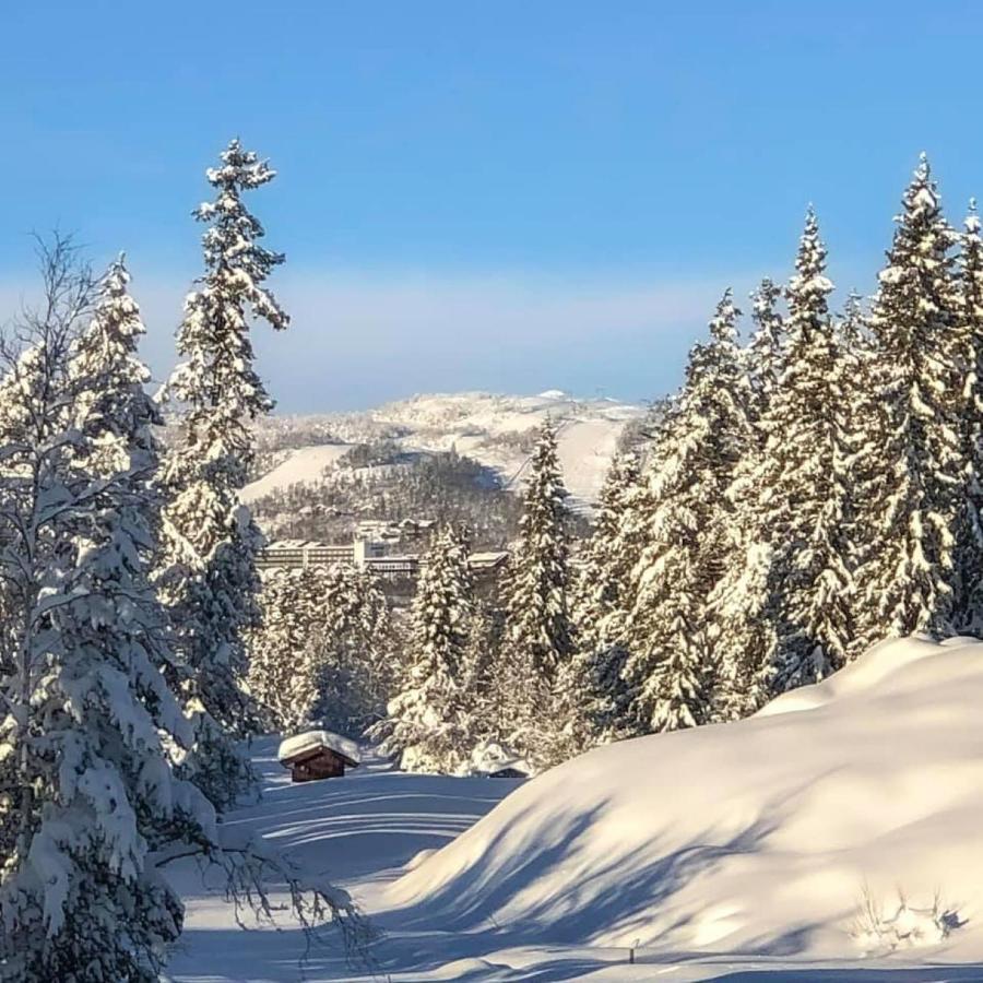 Leilighet Beitostolen Sentrum, Terrasse Og Innendors Parkering Luaran gambar